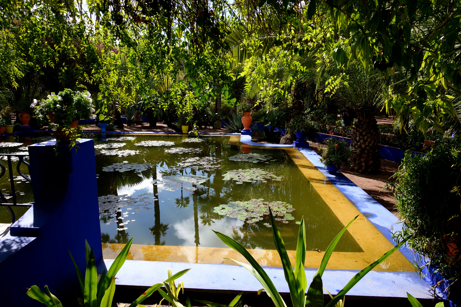 Jardin Majorelle 7