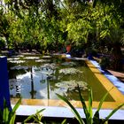 Jardin Majorelle 7