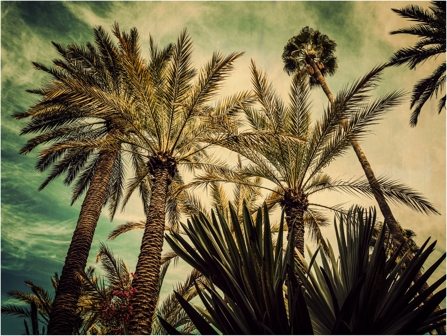 Jardin Majorelle