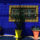 Jardin Majorelle