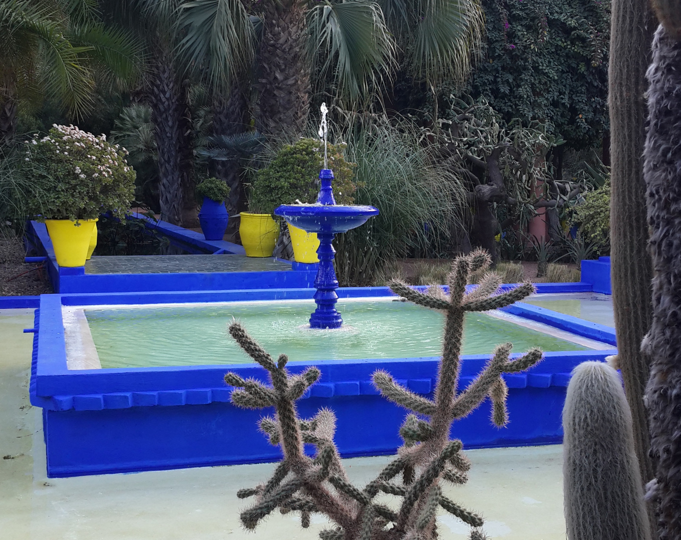 Jardin Majorelle a Marrakech