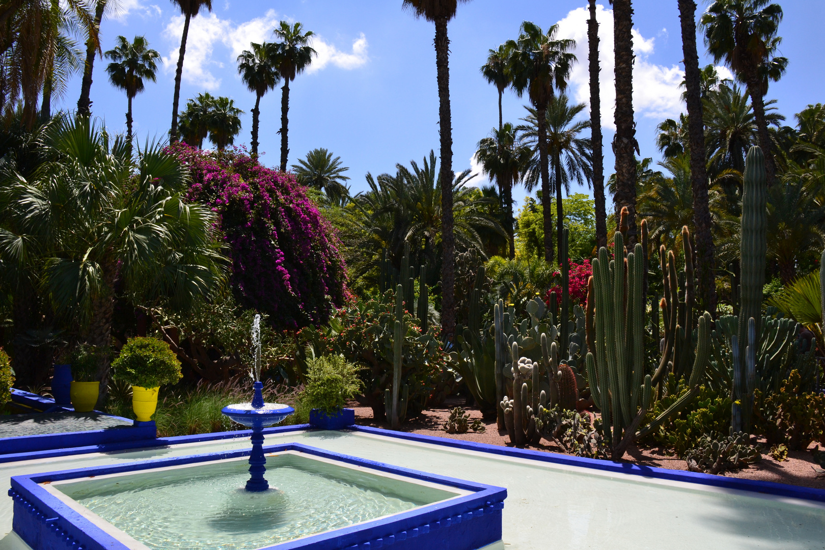 Jardin Majorelle