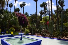 Jardin Majorelle