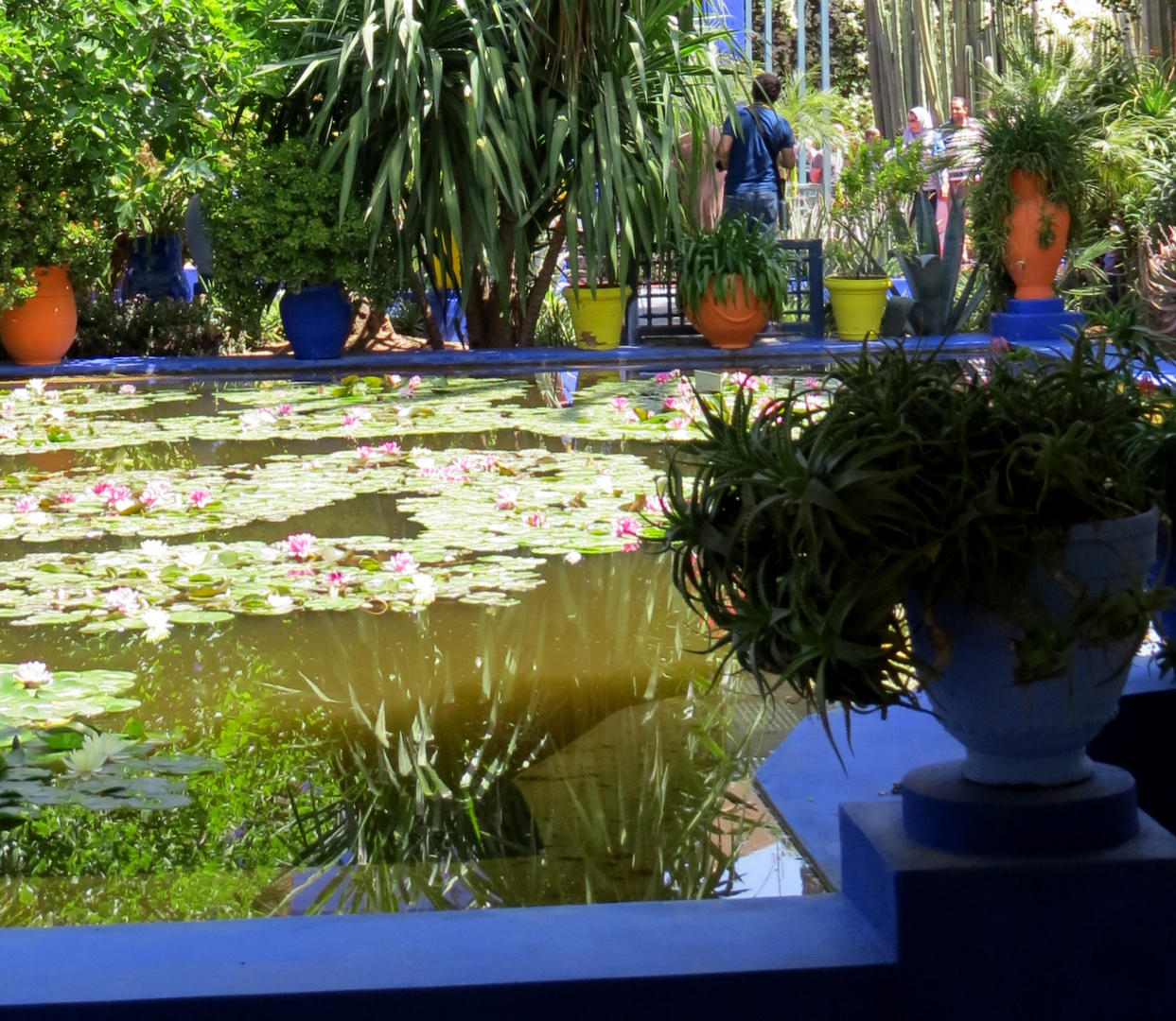 Jardin Majorelle