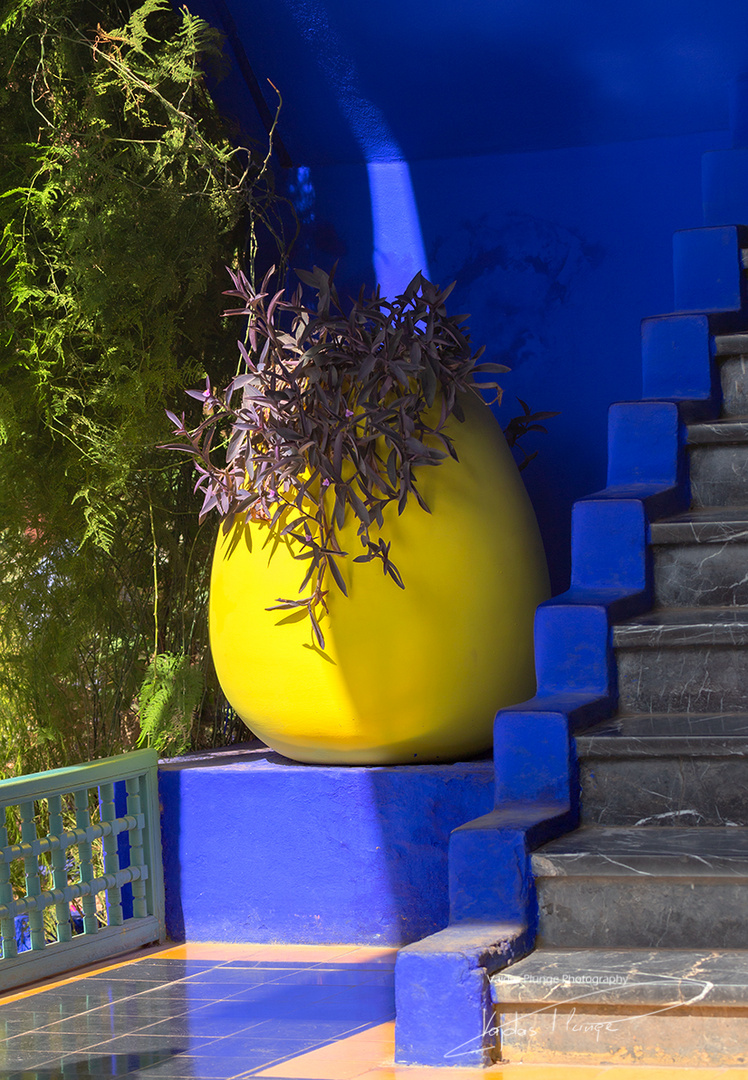 Jardin Majorelle