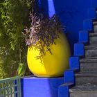 Jardin Majorelle