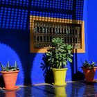 Jardin Majorelle: Der Garten von Yves Saint Laurent