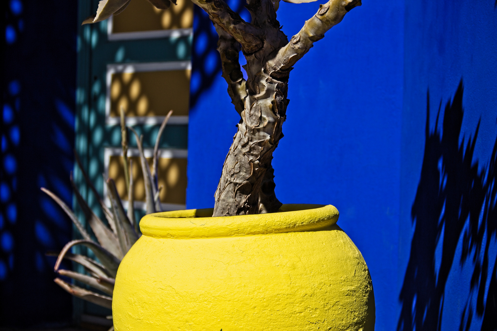 Jardin Majorelle - Detail