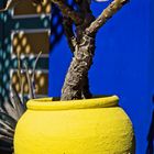 Jardin Majorelle - Detail