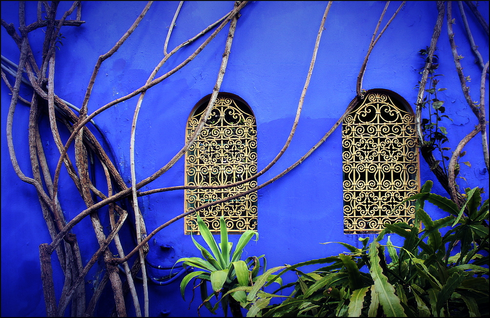 Jardin Majorelle