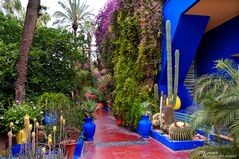 Jardin Majorelle