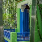 Jardin Majorelle II - Marrakesch/Marokko