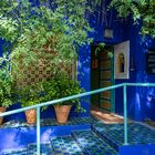 Jardin Majorelle III - Marrakesch/Marokko