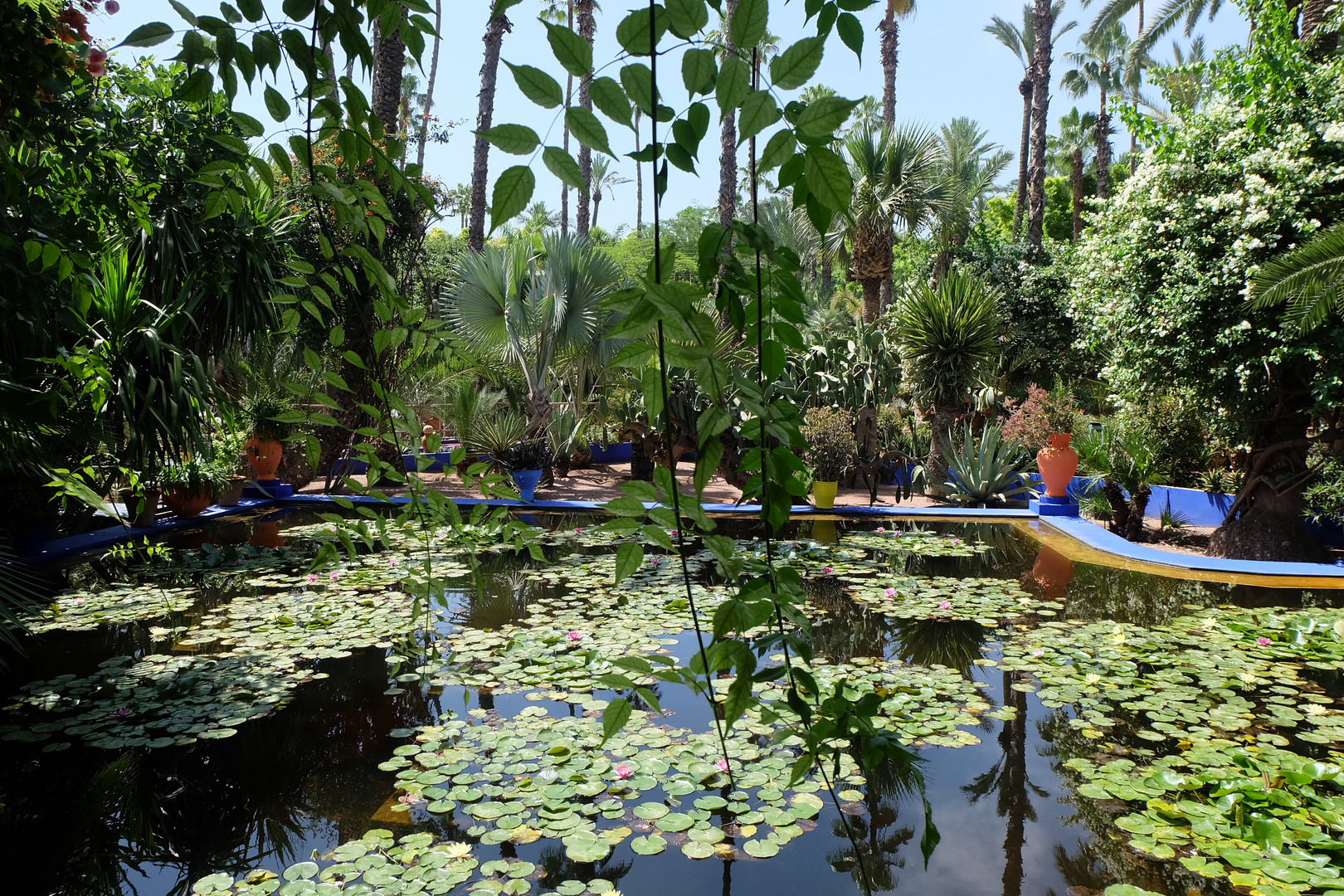 Jardin Majorelle in Marrakech