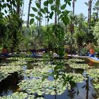 Jardin Majorelle in Marrakech