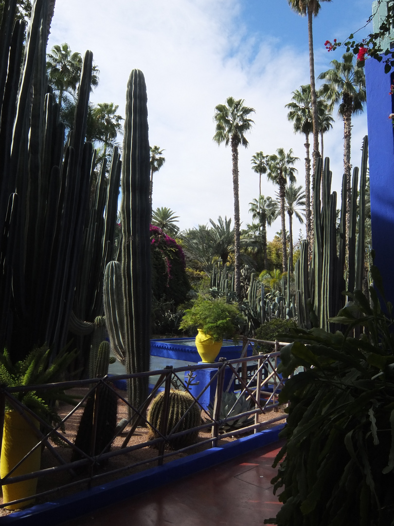 Jardin Majorelle in Marrakesch