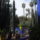 Jardin Majorelle in Marrakesch