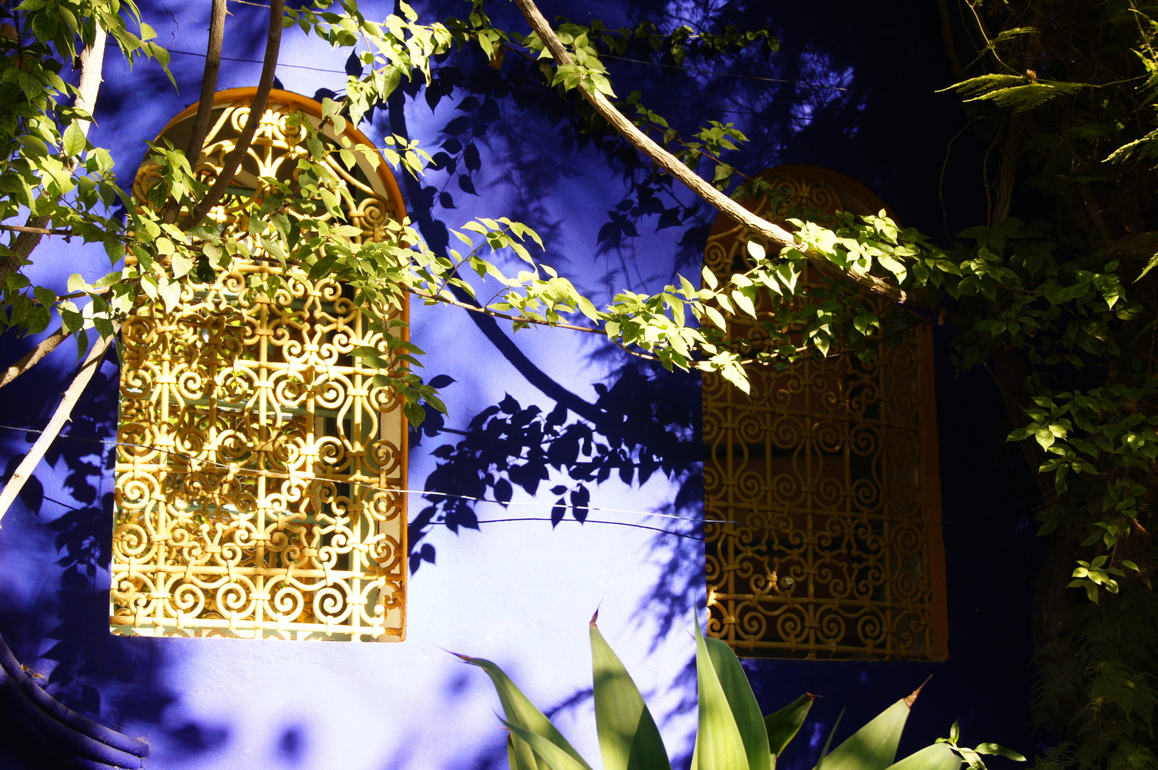 Jardin Majorelle in Marrakesch