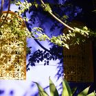 Jardin Majorelle in Marrakesch