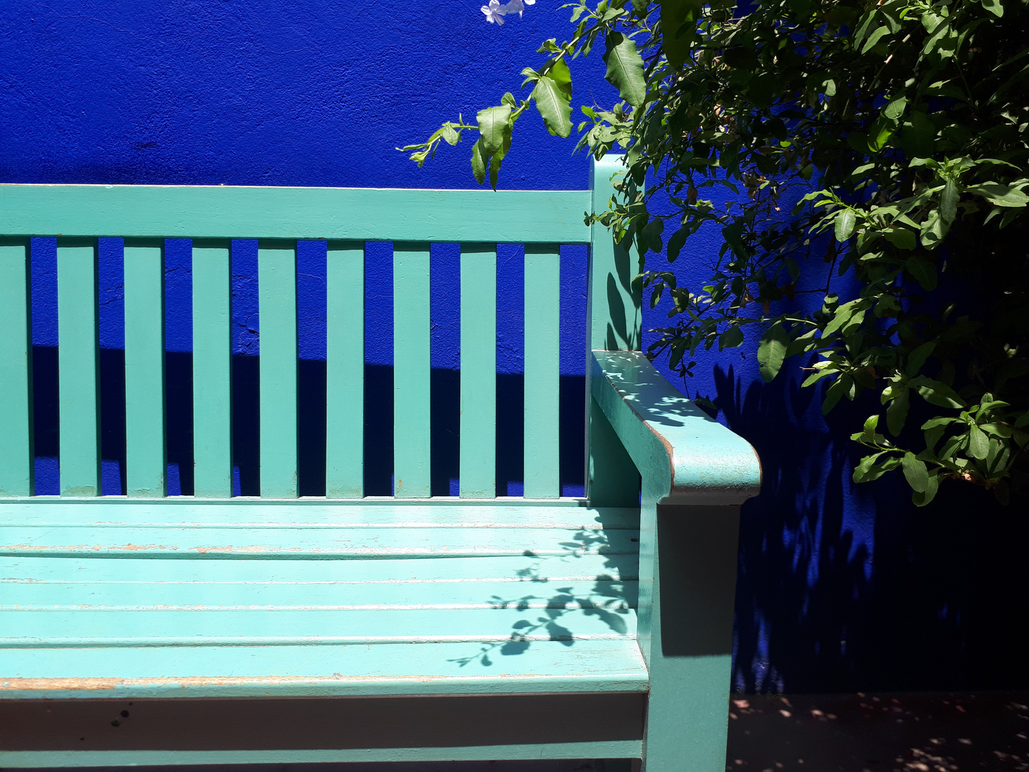 Jardin Majorelle in Marrakesh