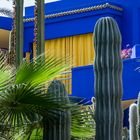 Jardin Majorelle IV - Marrakesch/Marokko