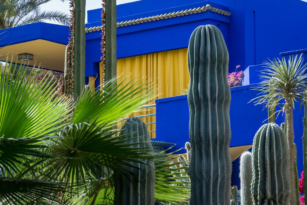 Jardin Majorelle IV - Marrakesch/Marokko