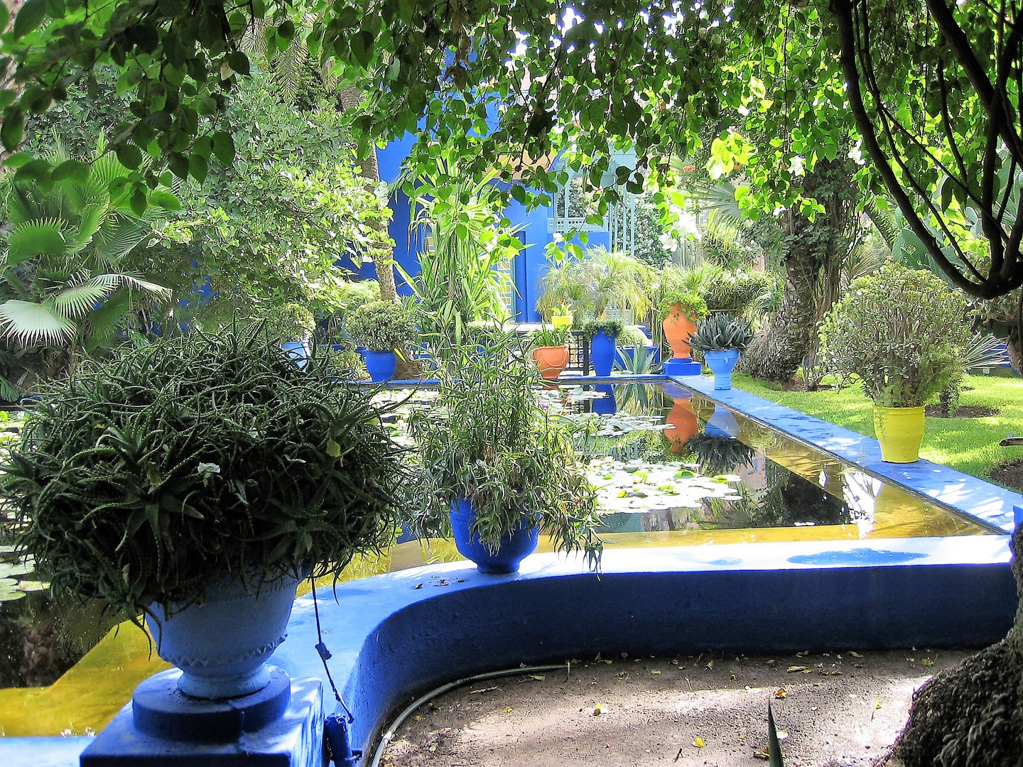 Jardin Majorelle / Ives Saint Laurant / Marroko