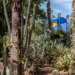 Jardin Majorelle - Kakteengarten