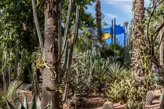 Jardin Majorelle - Kakteengarten