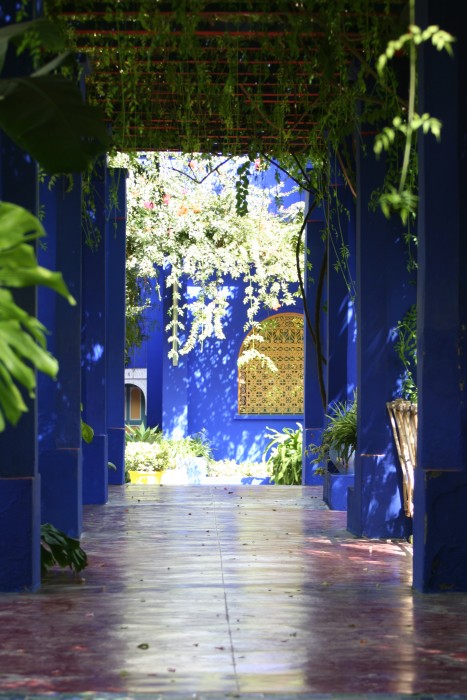 Jardin Majorelle / Marrakech