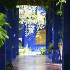 Jardin Majorelle / Marrakech