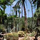 Jardin Majorelle, Marrakech