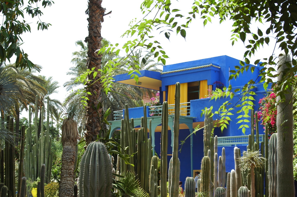 Jardin MAJORELLE - MARRAKECH -