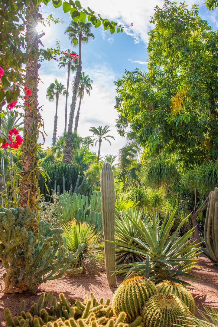 Jardin Majorelle, Marrakech