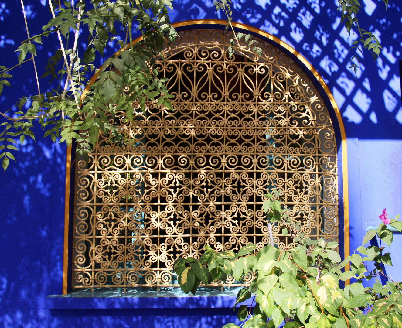 Jardin Majorelle Marrakesch