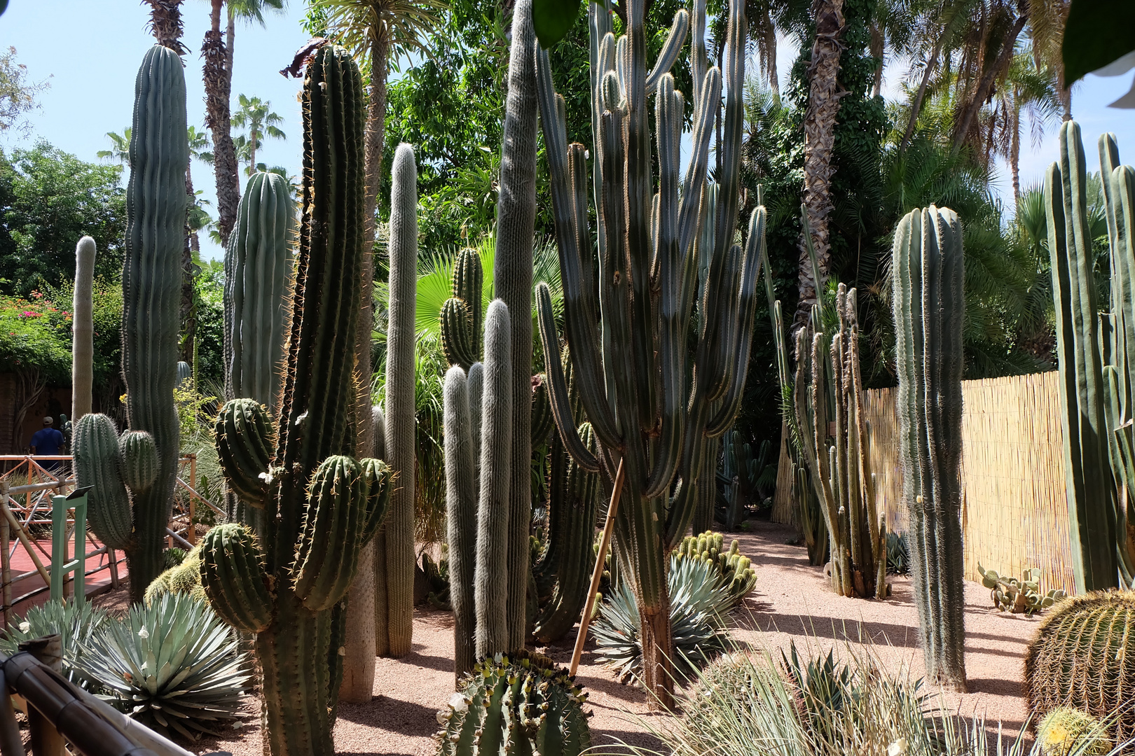 Jardin Majorelle, Marrakesch