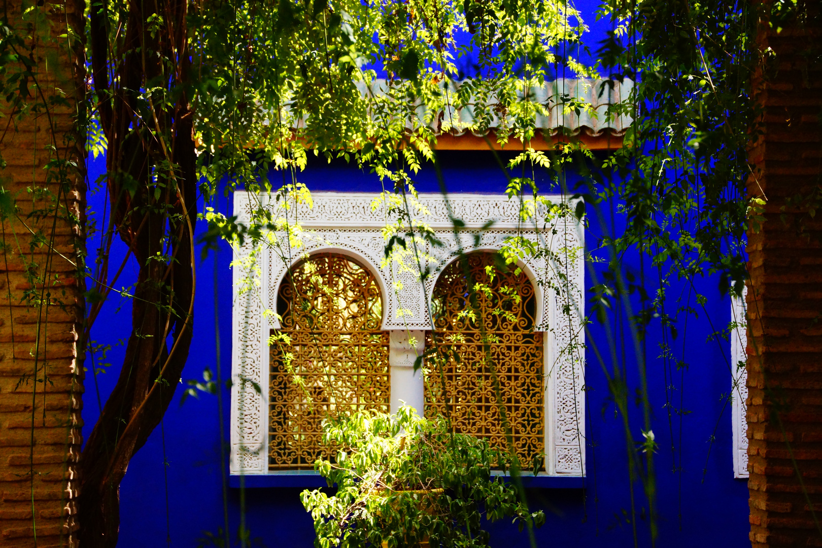 Jardin Majorelle, Marrakesch