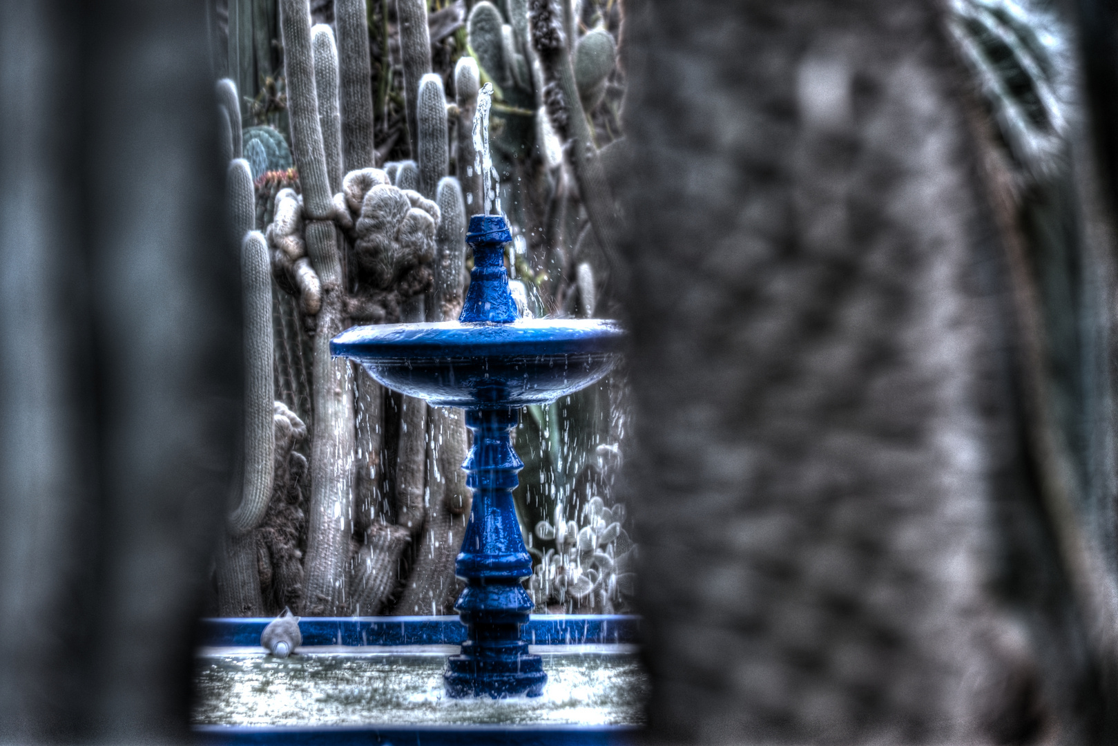 Jardin Majorelle Marrakesch Marokko