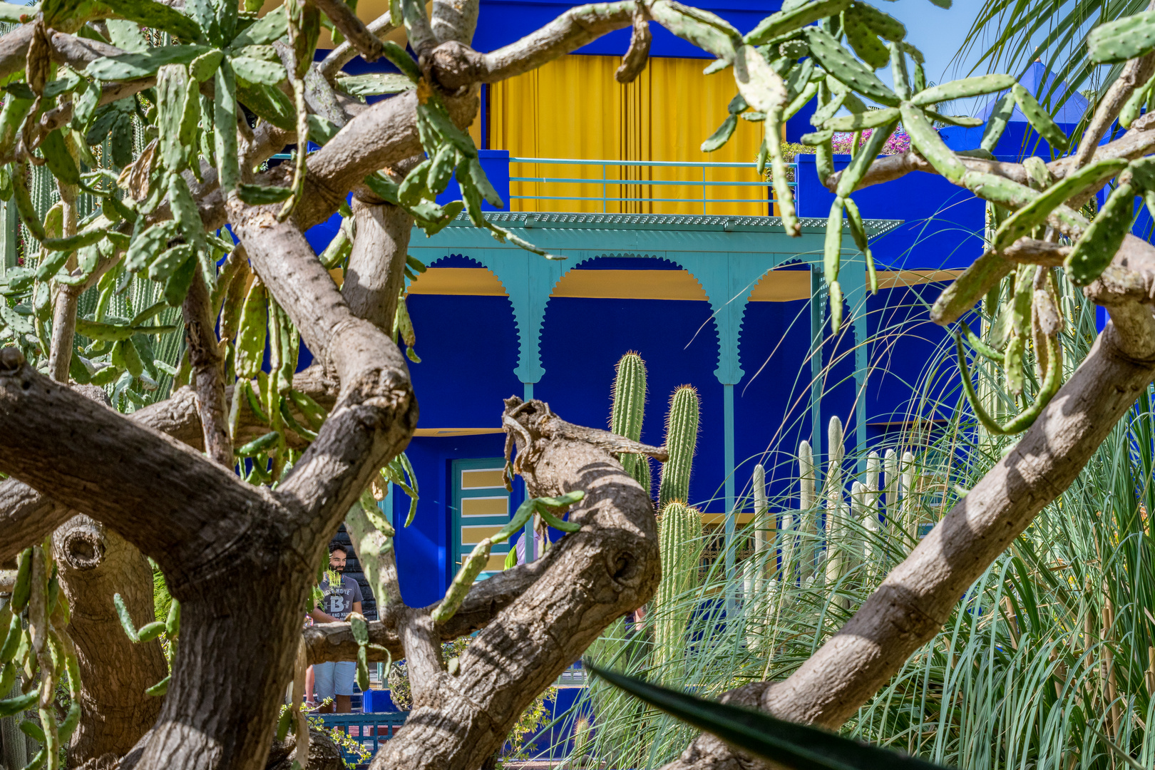 Jardin Majorelle VIII - Marrakesch/Marokko