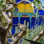 Jardin Majorelle VIII - Marrakesch/Marokko