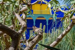 Jardin Majorelle VIII - Marrakesch/Marokko