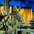 Jardin Majorelle - Villa