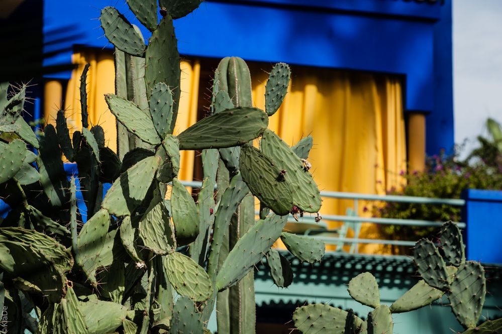 Jardin Majorelle - Villa