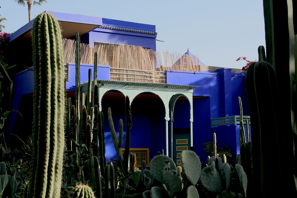 Jardin Majorelle von Yves Saint Laurent in Marrakech 1