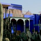 Jardin Majorelle von Yves Saint Laurent in Marrakech 1