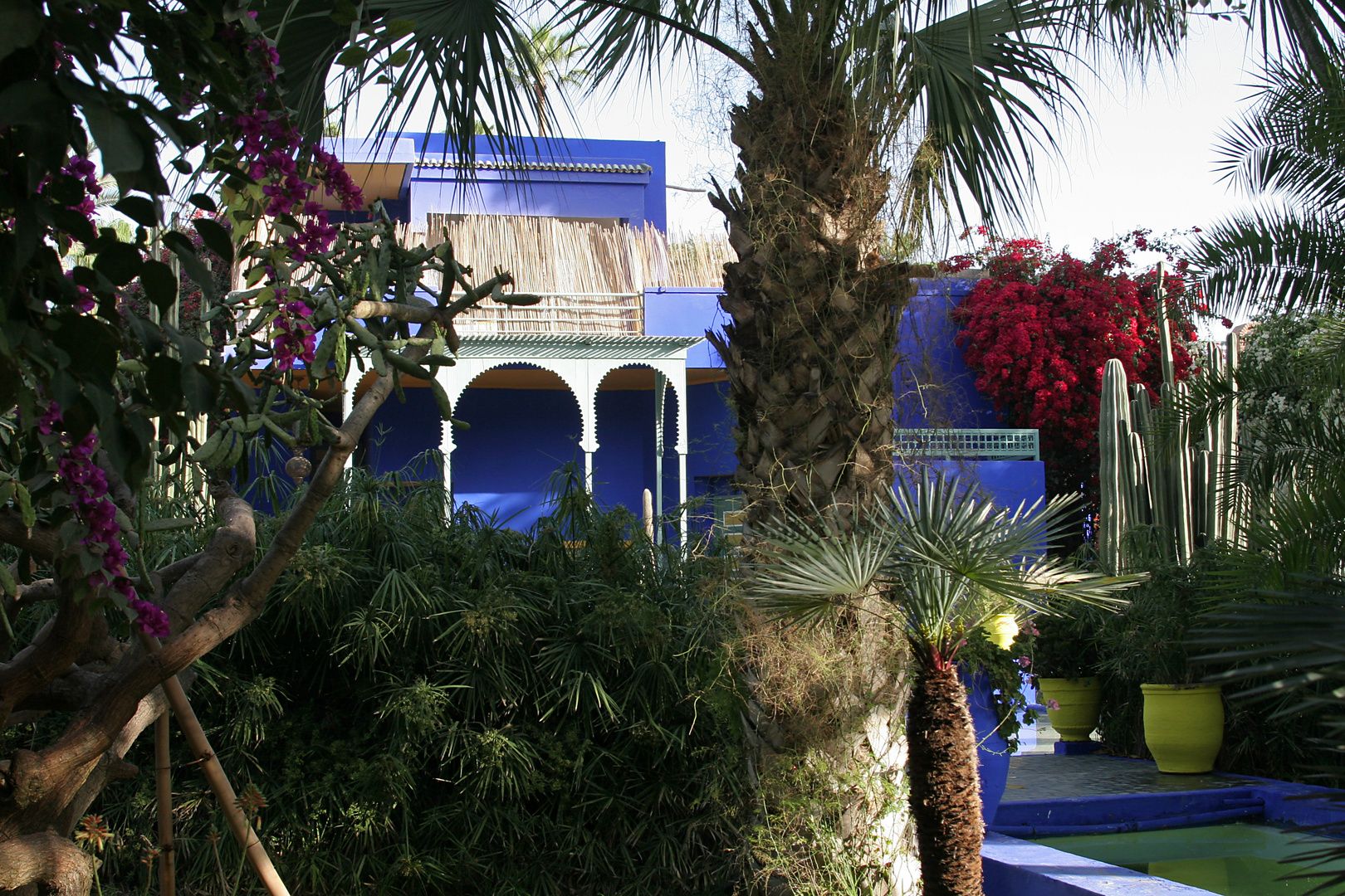 Jardin Majorelle von Yves Saint Laurent in Marrakech 3