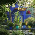 Jardin Majorelle von Yves Saint Laurent in Marrakech 5
