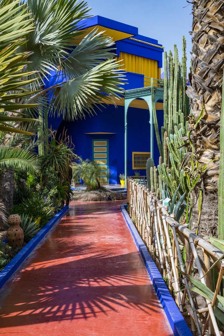 Jardin Majorelle X - Marrakesch/Marokko