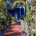 Jardin Majorelle X - Marrakesch/Marokko