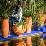 Jardin Majorelle XII - Marrakesch/Marokko